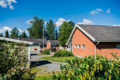 KotikaariOy_Laurinpuisto_kuva_kontrastia_PihlaLiukkonen-24