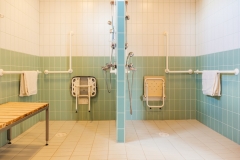 KotikaariOy_Veteraanipuisto_kuva_kontrastia_PihlaLiukkonen-3