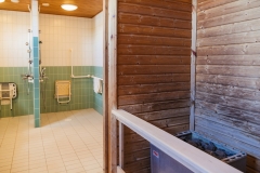 KotikaariOy_Veteraanipuisto_kuva_kontrastia_PihlaLiukkonen-4